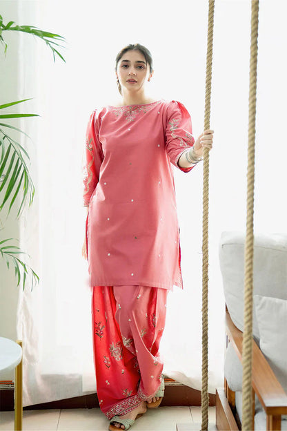Rivaj-218  Dhanak two piece winter collection